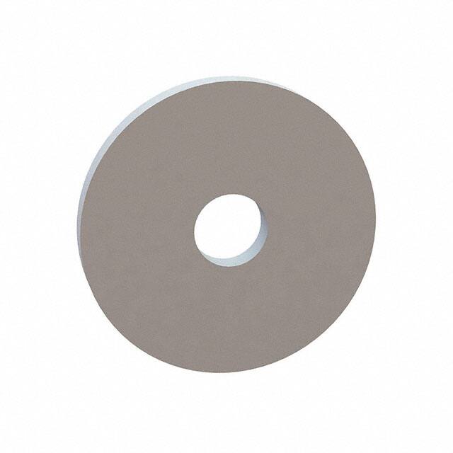 17W12513 FLAT WASHER, .310 ID, 1.250 OD,