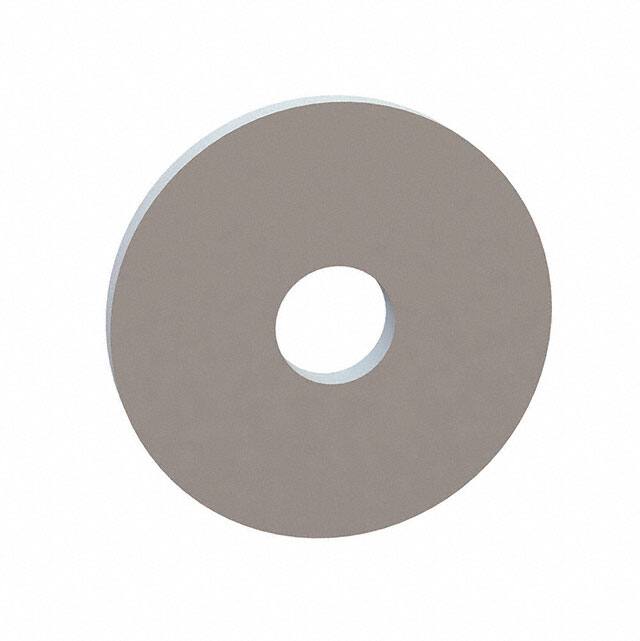 17W08952 FLAT WASHER, .244 ID, .902 OD, .