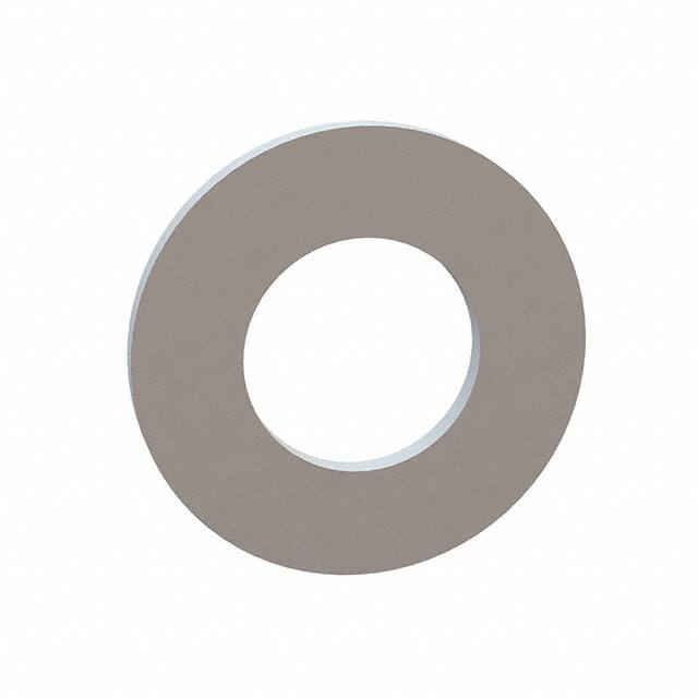 17W05701 FLAT WASHER, .299 ID, .575 OD, .