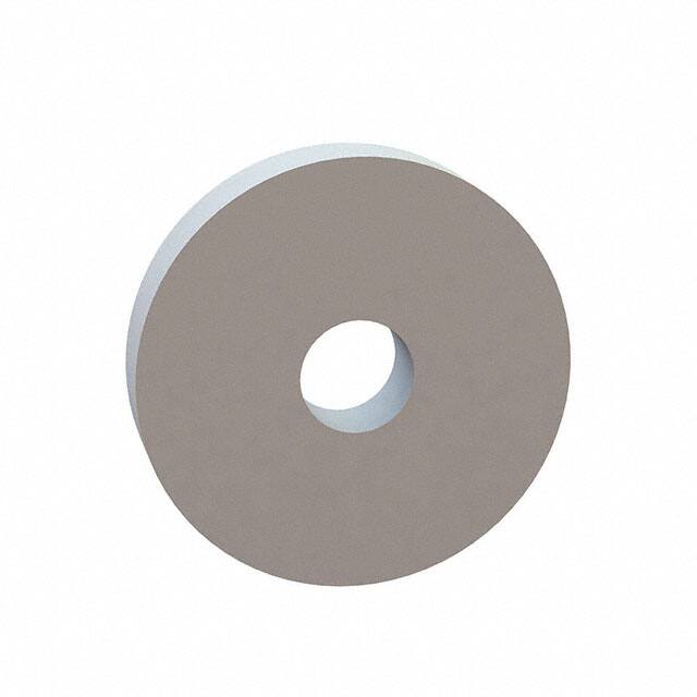 17W06305 FLAT WASHER, .165 ID, .630 OD, .