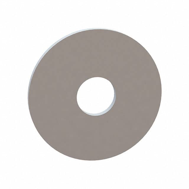 17W07194 FLAT WASHER, .209 ID, .709 OD, .