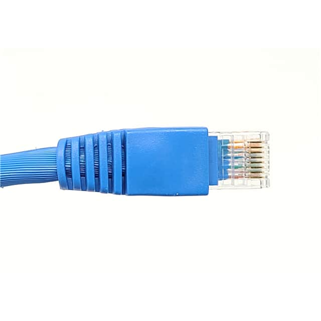 E09-100BL 100' CAT6A UTP RJ45 Patch Cable