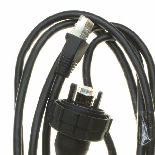 SCPE-G-2.00-S CABLE MOD 8P8C PLUG-PLUG 6.56'