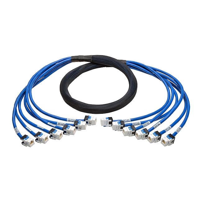 N261-010-6FF-BL CABLE MOD 8P8C JACK TO JACK 10'