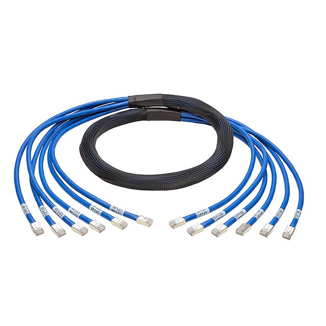 N261-010-6MM-BL CABLE MOD 8P8C PLUG TO PLUG 10'