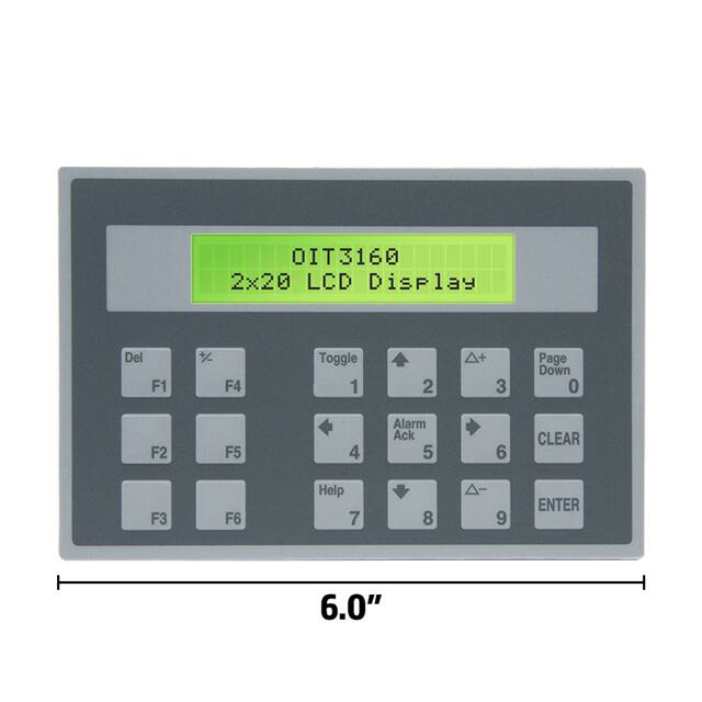 OIT3160-B00 2 X 20 BACKLIT LCD MONOCHROME DI