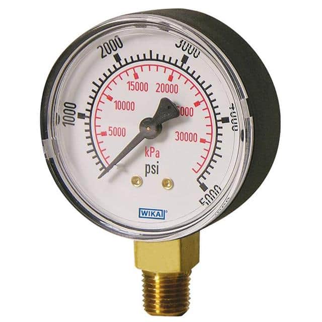 4233761 111.10SP 4 300 PSI 1/4"NPT LM PL