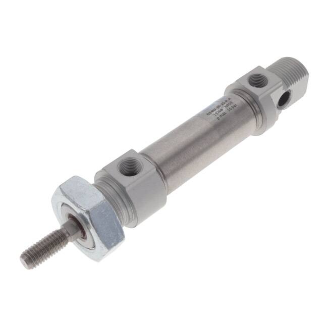 DSNU-20-25-P-A ISO CYLINDER