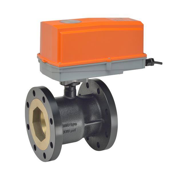B6300S-110-250+AFRX24 N4 CCV,3",2 WAY,110 CV,W/SPRING RET