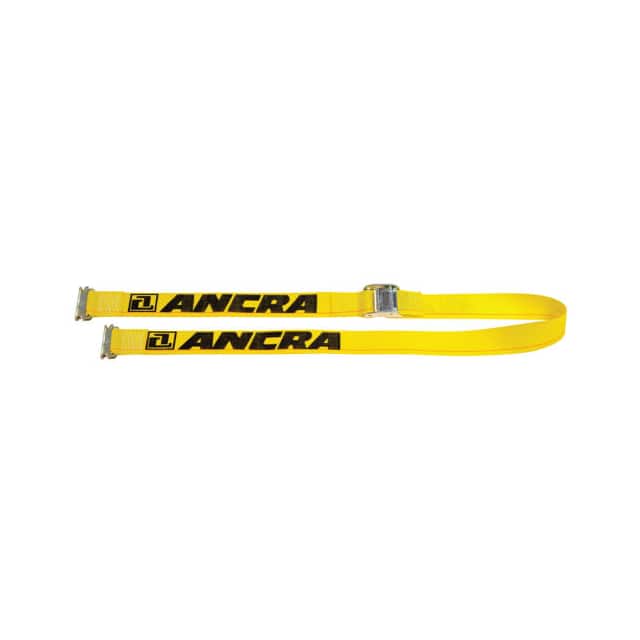 40602-17 ANCRA SERIES E & A CAM STRAP ASS