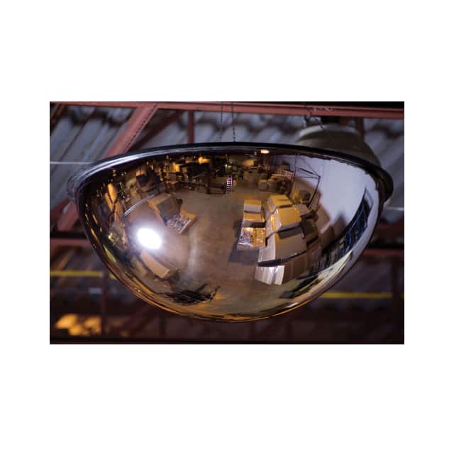 B2051377 FULL DOME PANORAMIC DOME MIRROR,