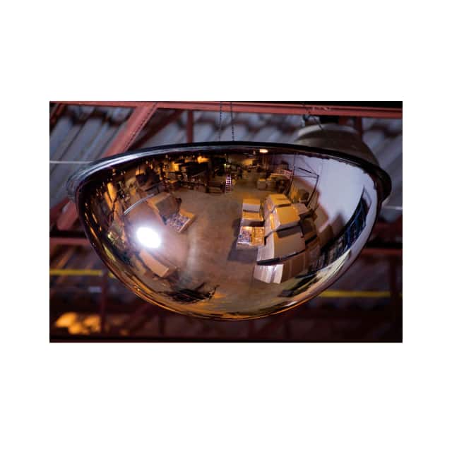 D4800 PANORAMIC DOME MIRROR, FULL DOME