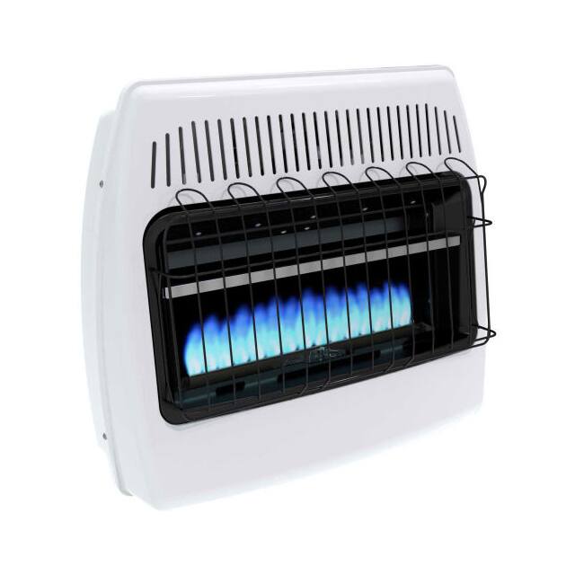 BF30NMDG-4 BF30NMDG NATURAL GAS BLUE FLAME