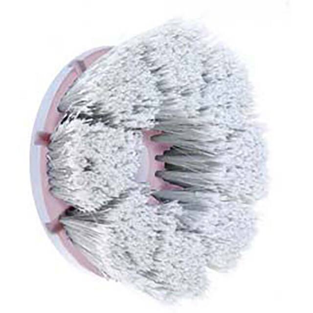 MS1044 7-3/4" LONG BRISTLE BRUSH (WINDO