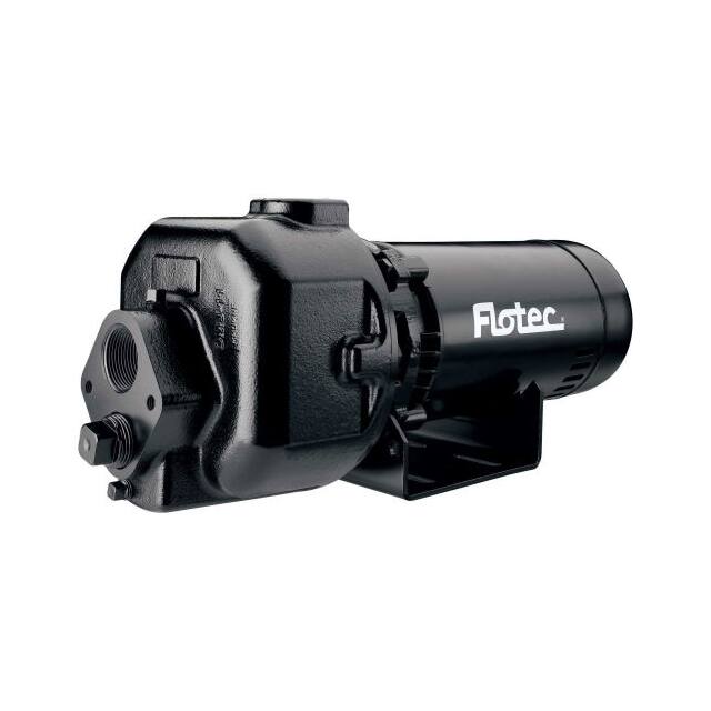 FP5230 1 HP MULTI-STAGE CAST IRON SPRIN