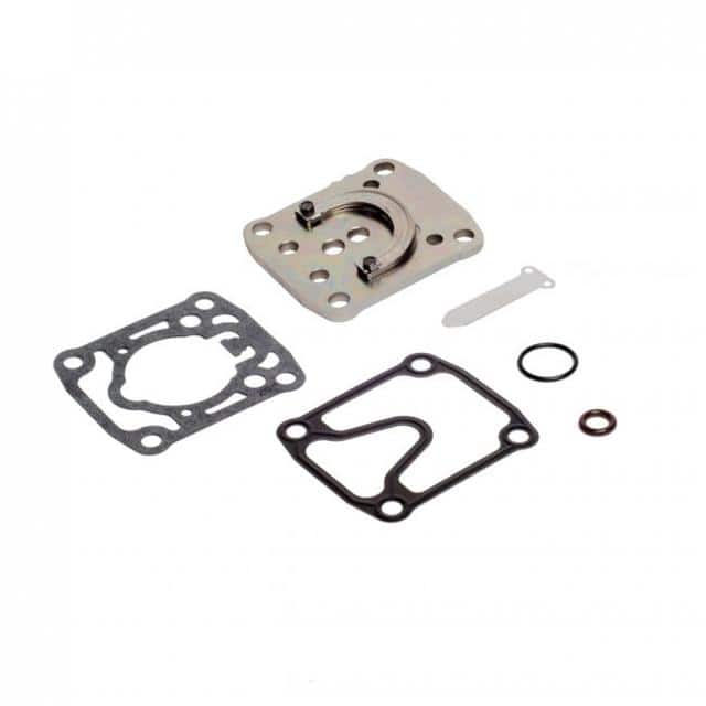 5470300 SPARE PARTS KIT F/REPLVLVPLT F/6