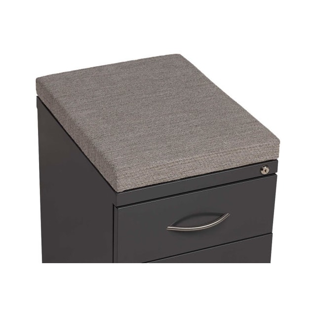 695610 2 DRAWER BOX/FILE PEDESTAL, CHAR