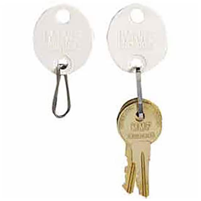 B383520 MMF SNAP-HOOK OVAL KEY TAGS, PLA