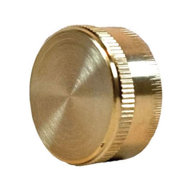 B2138837 END HOSE CAPS 10PK