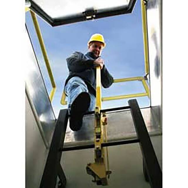 LU-2 GALVANIZED STEEL LADDER SAFETY P