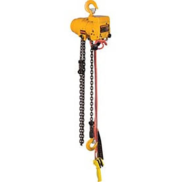 TCR2000P2-10 TCR AIR HOIST W/ PENDANT CONTROL