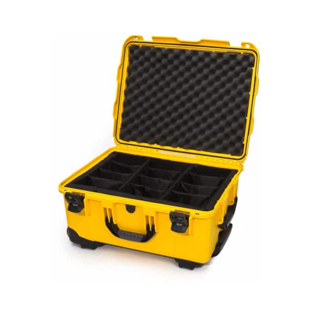 950-2004 950 CASE W/PADDED DIVIDER, 22.8"