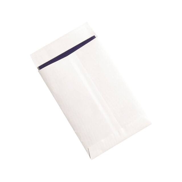 SLF0609WH FLAT ENVELOPES, 6X9", 100 PACK