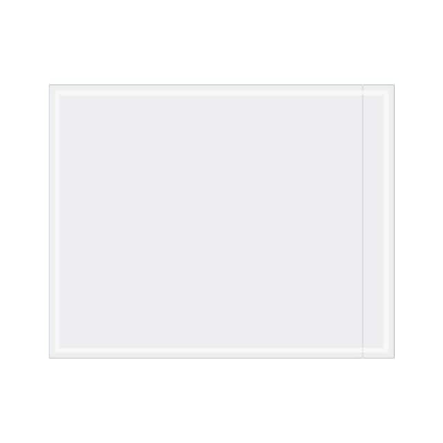 B43981 9 1/2"X12" FACE DOCUMENT ENVELOP