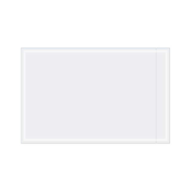 PL473 5-1/8"X8" FACE DOCUMENT ENVELOPE