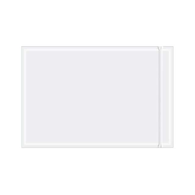 ENVLNP69 6"X9" RESEALABLE FACE DOCUMENT E