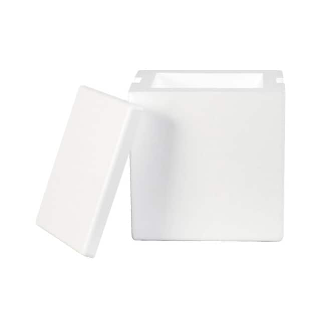 209F 8"X6"X9" INSULATED FOAM CONTAINE