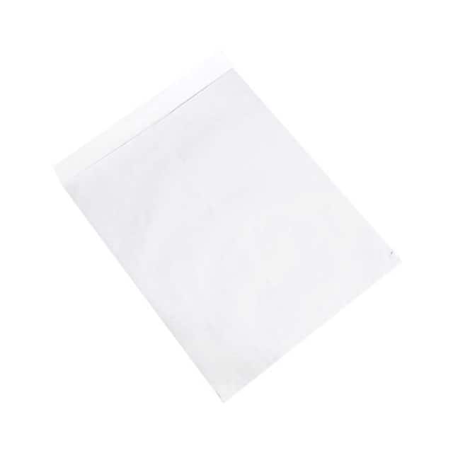 EN1086W JUMBO ENVELOPES, 22X27", 100 PK