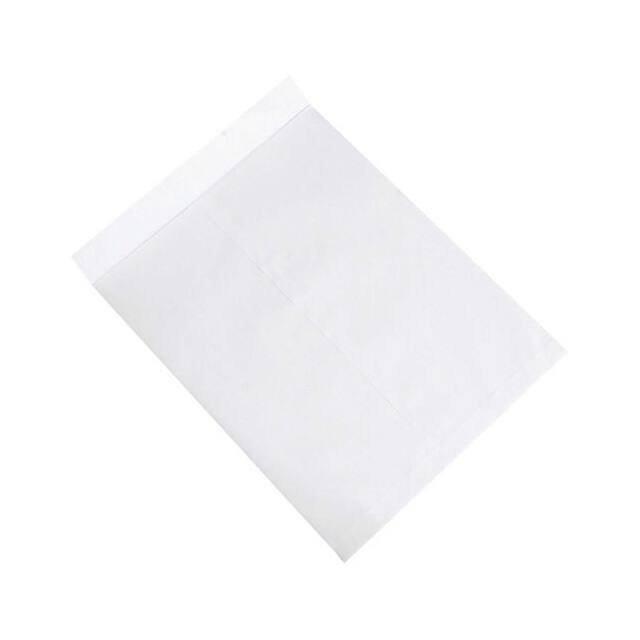 EN1085W JUMBO ENVELOPES, 18X23", 250 PK