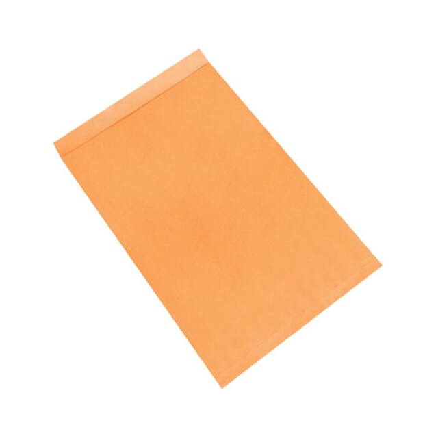 EN1088 JUMBO ENVELOPES, 24X36", 100 PK