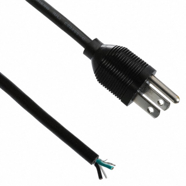AK500-OE-5-3 CORD 18AWG NEMA5-15P - CBL 9.84'