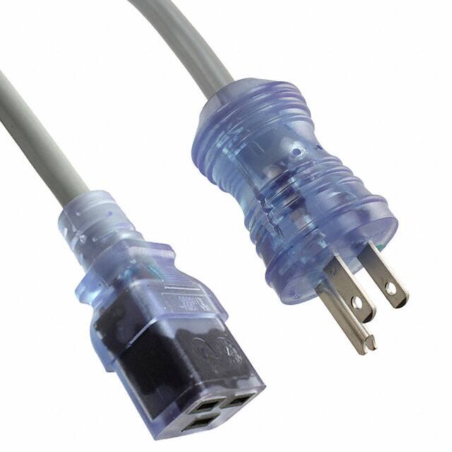 0888.0221 CRD 14AWG NEMA5-15P - 320C19 10'