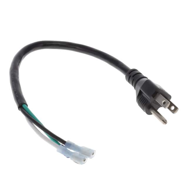 3021051F00 NEMA 5-15P (TYPE B) 2 CONDUCTOR