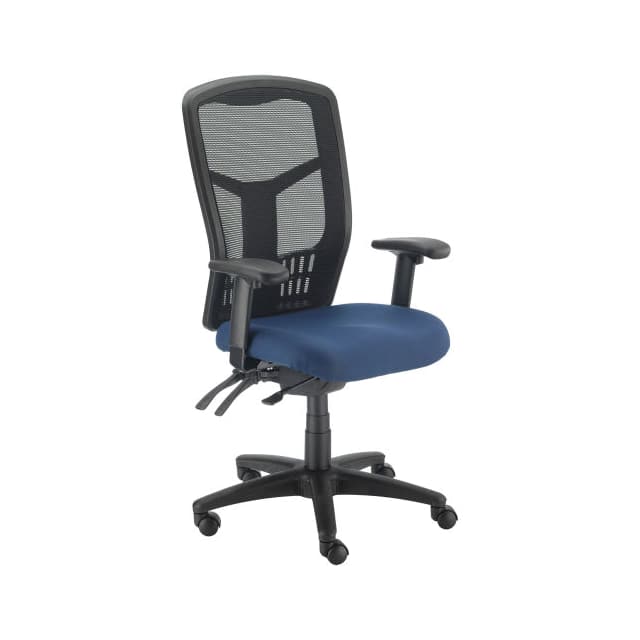 248623BL HIGH BACK TASK CHAIR, MESH BACK,