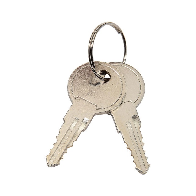 RP9011 2 REPLACEMENT KEYS FOR MODELS 60