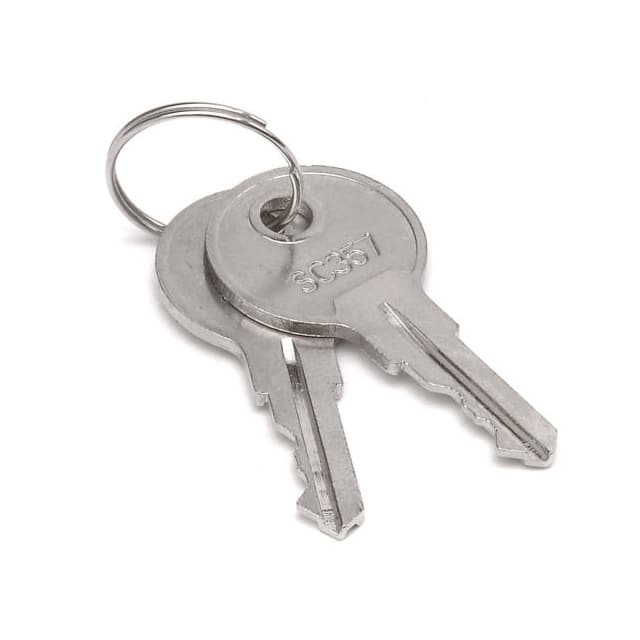 RP9009 KEYS (2) REPLACEMENT FOR CABINET