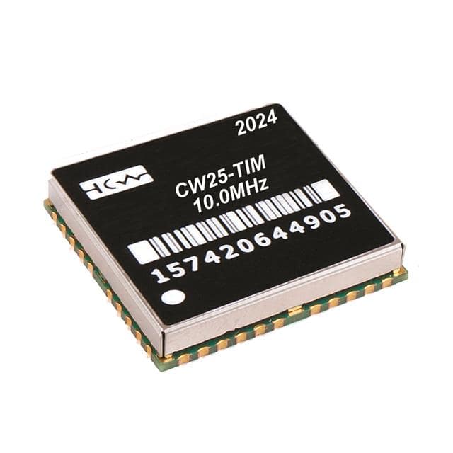 CW25-TIM IC GPS BASED TIMING MOD (TCXO)