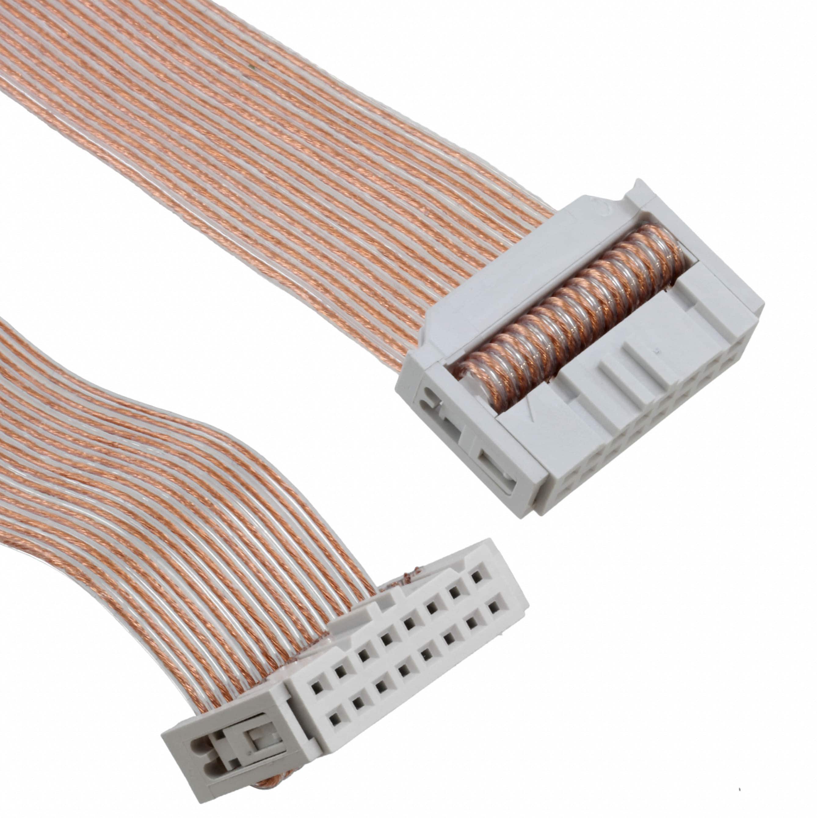 310J101-16-CA006 FLT RIB CBL .050" 28AWG 16C 6'