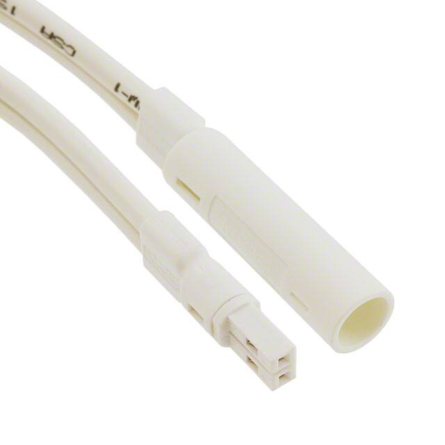 2181143-4 CABLE SPT-2 PLUG TO OUTLET