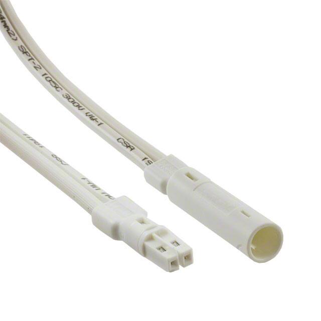 2181191-1 CABLE SPT-2 PLUG TO OUTLET