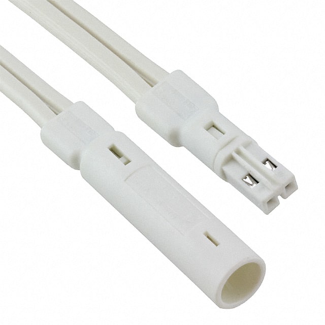 2181192-4 CABLE SPT-2 PLUG TO OUTLET