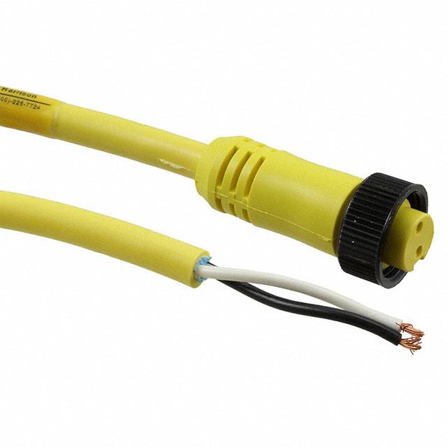 1300060096 CBL 2POS FMALE TO WIRE 12'