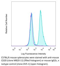 CD20 The Bio X Cell InVivoMAb anti-mouse CD20 antibody (Clone: MB20-11) is a functional antibody for in vivo studies. It has a Mouse IgG2c, κ isotype.