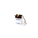 6N2A-2C POWER SPORT BATTERY