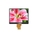 ST0350I3W-RSLW-F