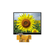 ST0500I5W-RSLW-F